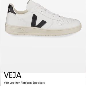 Veja v10 sneakers